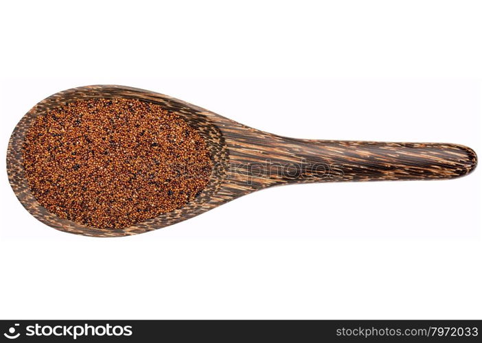 gluten free kaniwa (baby quinoa) grain on a wooden spoon isolated on white