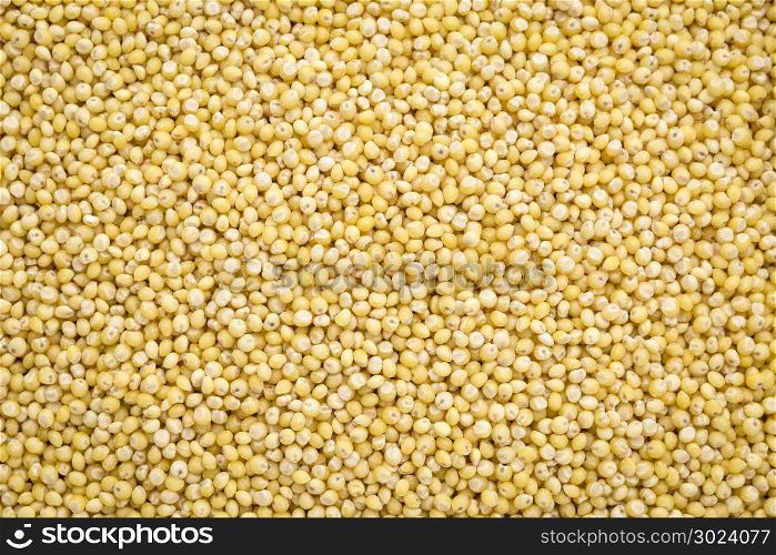 gluten free millet grain background and texture