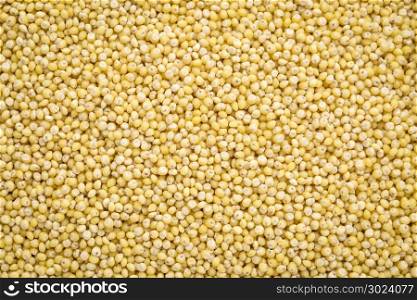 gluten free millet grain background and texture