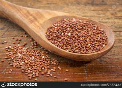 gluten free red quinoa grain on a wooden spoon against a grunge wood