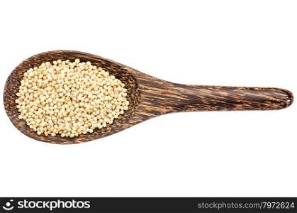 gluten free white sorghum grain on a wooden spoon isolated on white