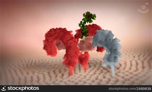 Glycosylphosphatidylinositol or glycophosphatidylinositol, or GPI in short, is a glycolipid that can be attached to the C-terminus of a protein during posttranslational modification. 3D illustration. Chemical Biology of Glycosylphosphatidylinositol Anchors