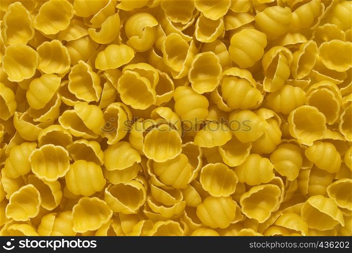 Gnocchi shells shaped pasta background