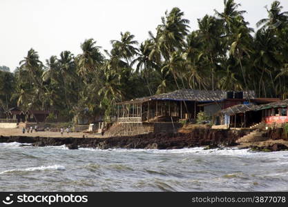 GOA India Beach, beautiful with palm trees.