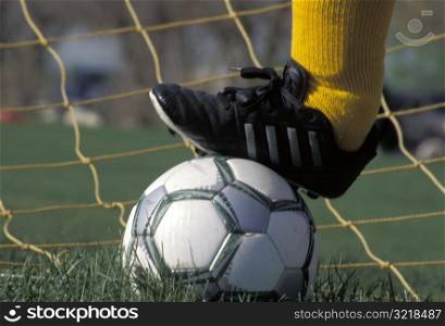 Goalie With Foot on a Soccer Ball