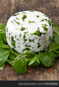 goat cheese with fresh rucola