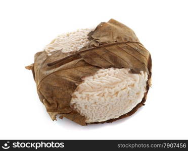 goat cheese with leaf in front of white background