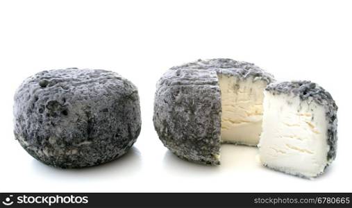 goat cheeses crottin de chavignol in front of white background