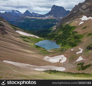 goat in Glacier National Park, Montana.