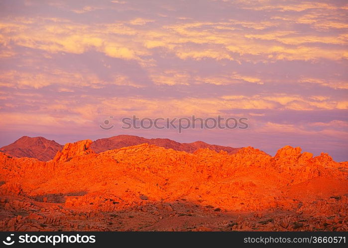 Gobi desert