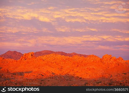 Gobi desert