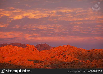 Gobi desert