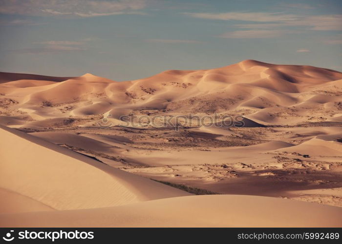 Gobi desert in Mongolia