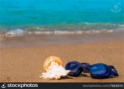 goggles for swimming and seashells on the seashore