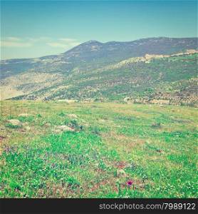 Golan Heights in the Spring, Instagram Effect