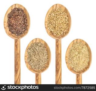 gold and brown flax seed and meal - isolated collection of wooden spoons