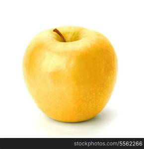 gold apple isolated on white background