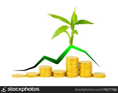 gold coins and plant isolated on white