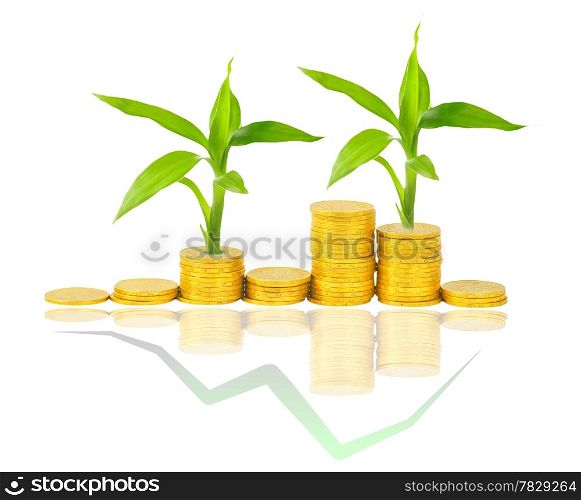 gold coins and plant isolated on white