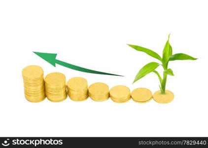 gold coins and plant isolated on white