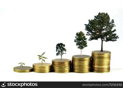 Gold coins pile stack and growing money and grow trees that grow up on white background, Saving money and ecology concept