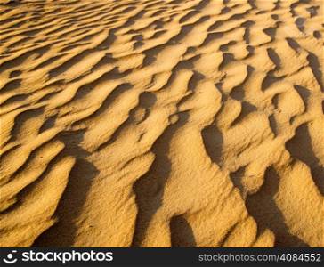 Gold desert into the sunset. Sand texture.