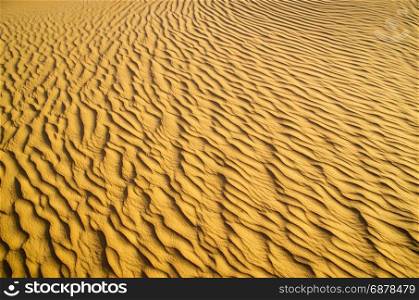 Gold desert into the sunset. Sand texture.