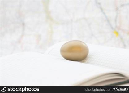 Gold egg placed on ledger with map behind reflects strong,successful global investments