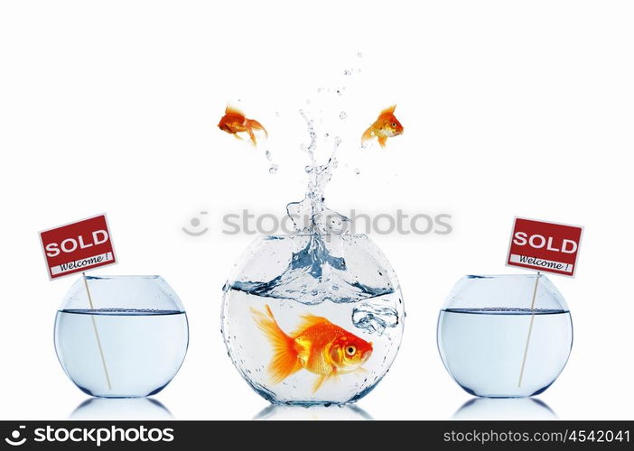 gold fish in a fishbowl with sign of sale