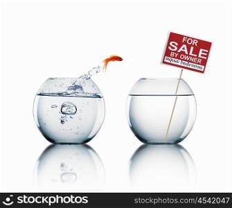 gold fish in a fishbowl with sign of sale
