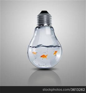 Gold fish in water inside an electric light bulb