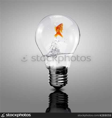 Gold fish in water inside an electric light bulb