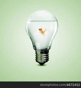 Gold fish in water inside an electric light bulb