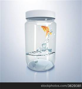 Gold fish jumping iout of water inside glass jar