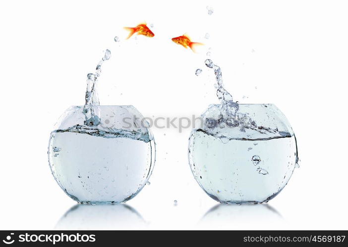 gold fish jumping out of water in fishbowl