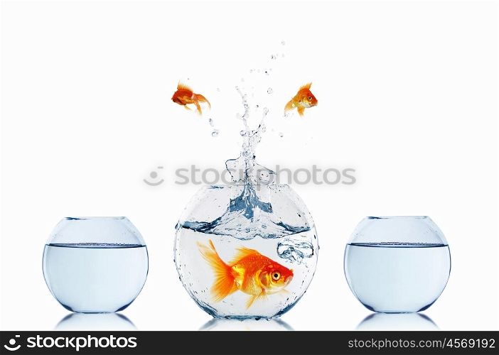 gold fish jumping out of water in fishbowl