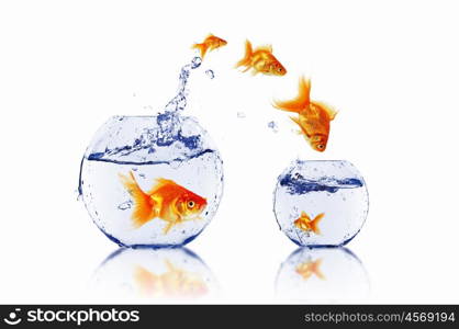 gold fish jumping out of water in fishbowl