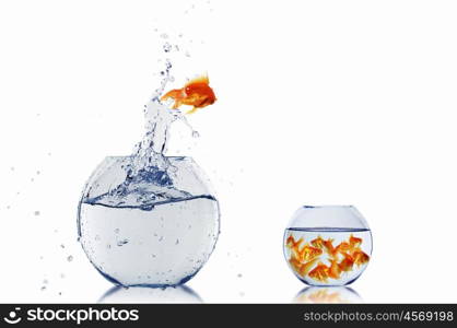 gold fish jumping out of water in fishbowl