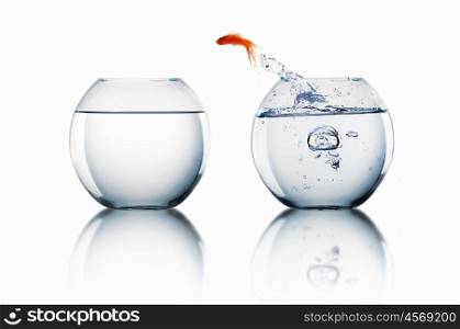gold fish jumping out of water in fishbowl