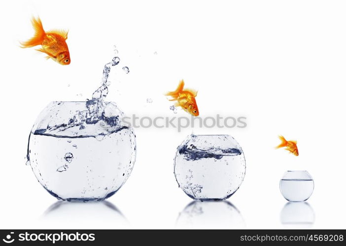 gold fish jumping out of water in fishbowl