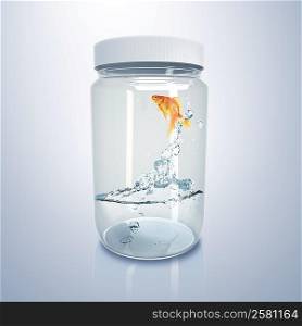 Gold fish jumping out of water inside glass jar