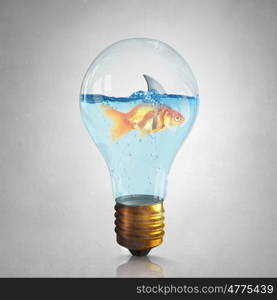 Gold fish with shark flip. Little goldfish in light bulb wearing shark fin