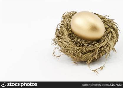 Gold nest egg against white background; horizontal with copy space to left.