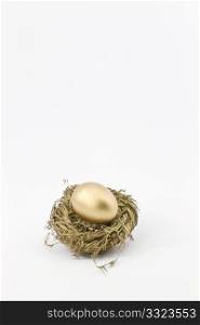 Gold nest holds golden egg of hopes and dreams. Copy space above.