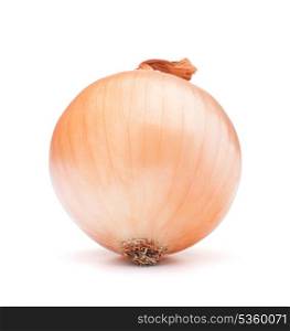 gold onion bulb on white background cutout