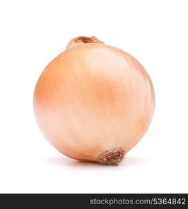 gold onion bulb on white background cutout