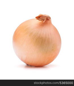 gold onion bulb on white background cutout