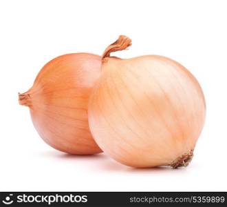 Gold onion vegetable bulbs on white background cutout