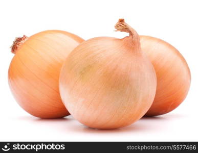 Gold onion vegetable bulbs on white background cutout