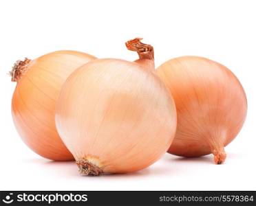 Gold onion vegetable bulbs on white background cutout